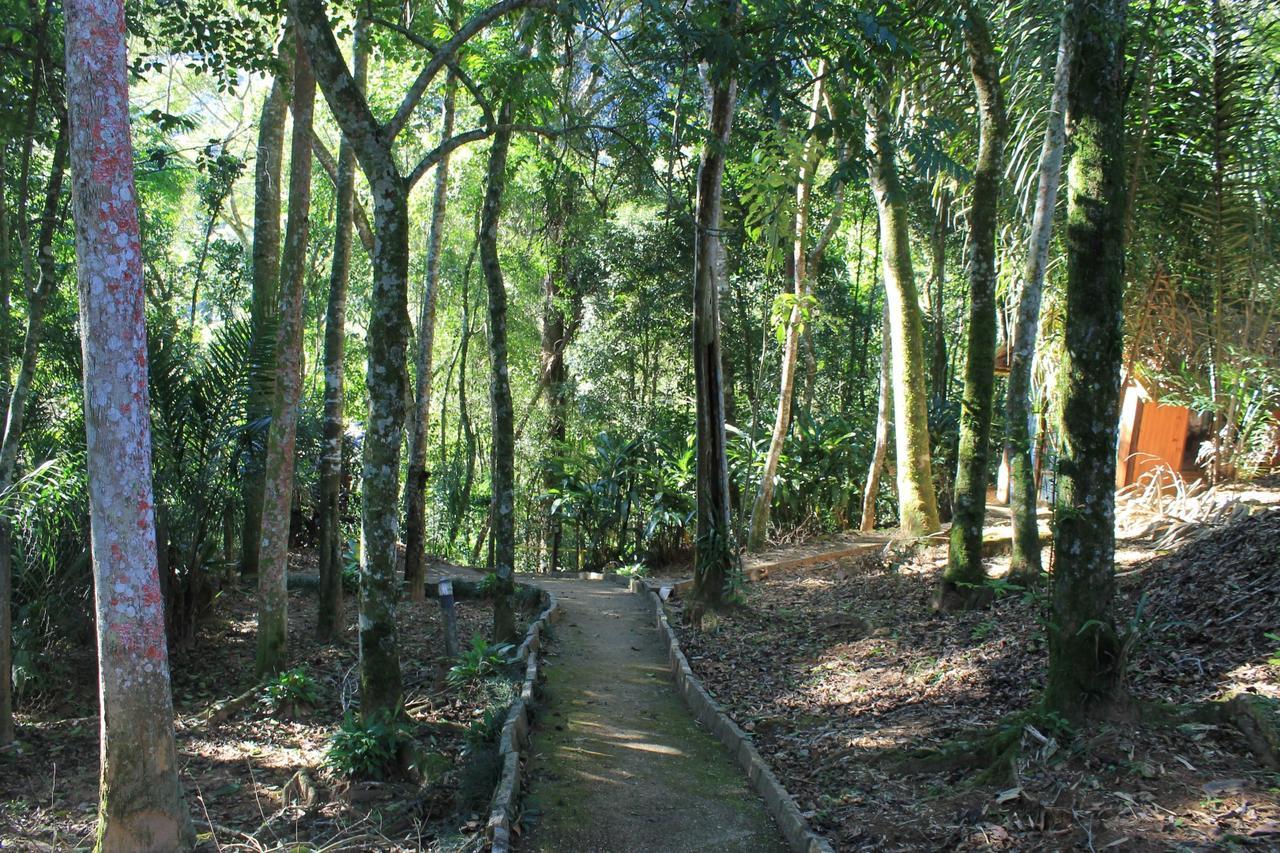 Pousada Luar Da Serra Taberna Lumiar Exterior photo